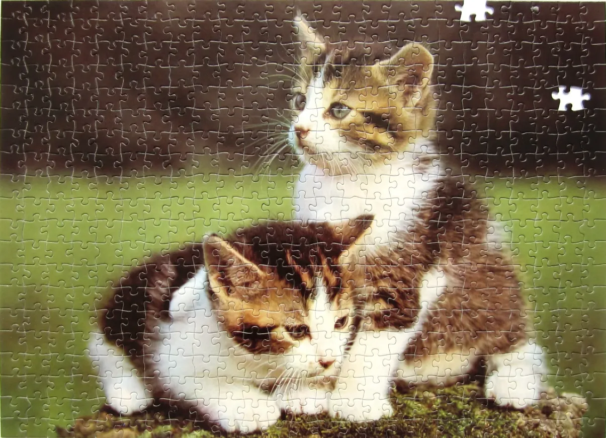 Two kittens, one sitting upright and one lying down, resting on a mossy surface against a soft-focus green background.