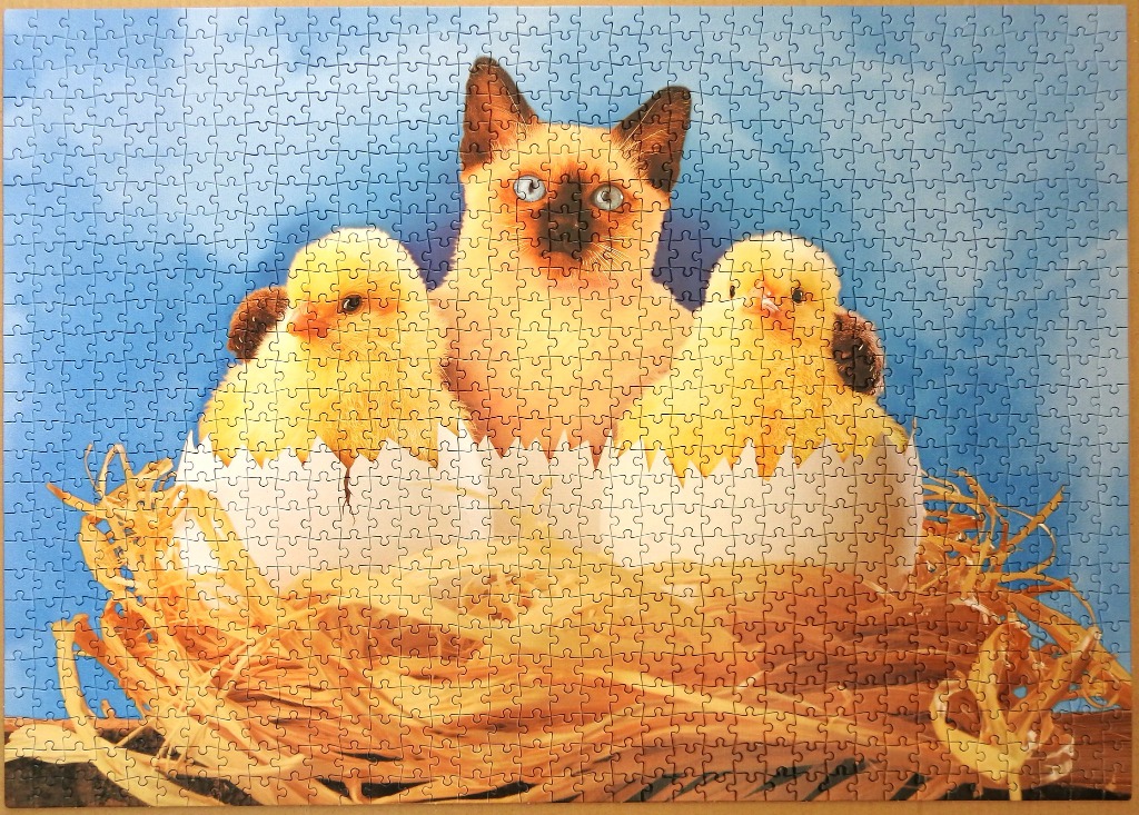 A Siamese cat sits behind two fluffy yellow chicks hatching from broken eggshells in a straw nest.