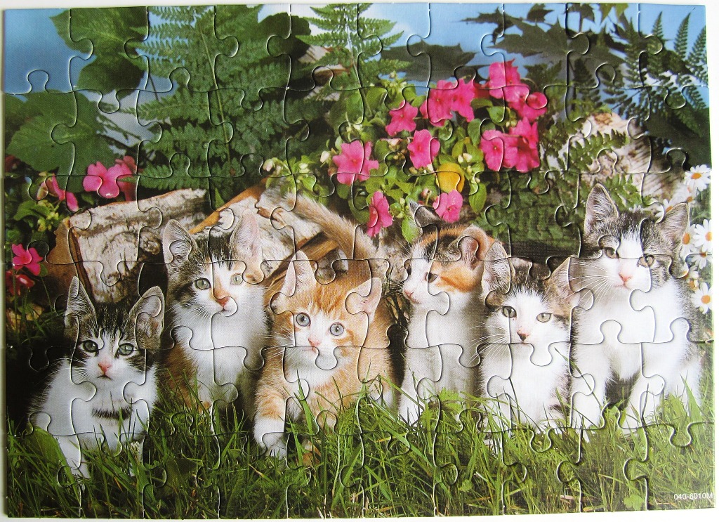 A group of six kittens sitting in a grassy garden in front of flowers and a birch log.