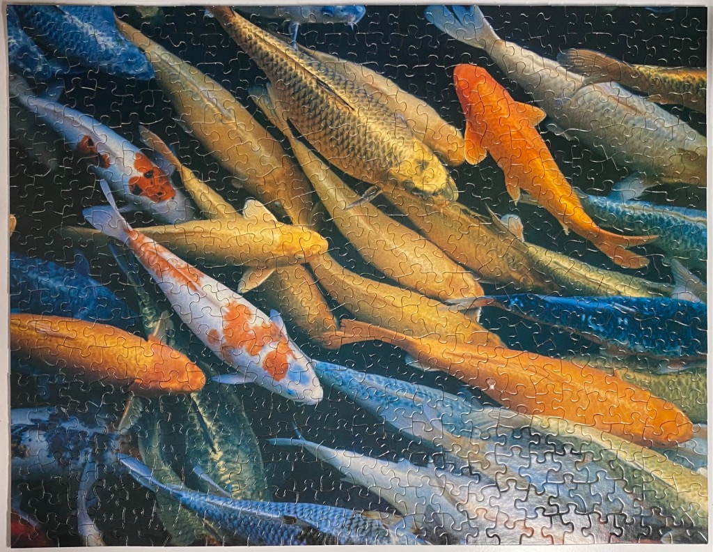A vibrant school of colorful koi fish swimming together in dark water.