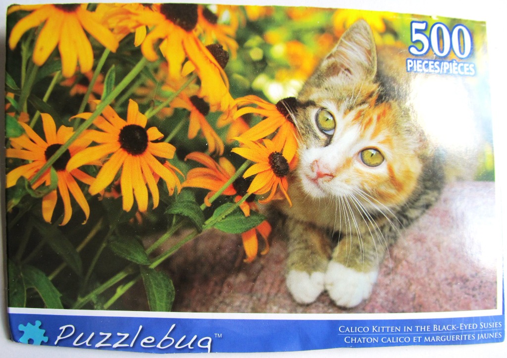 A close-up photograph of a calico kitten sitting among bright yellow black-eyed susan flowers.