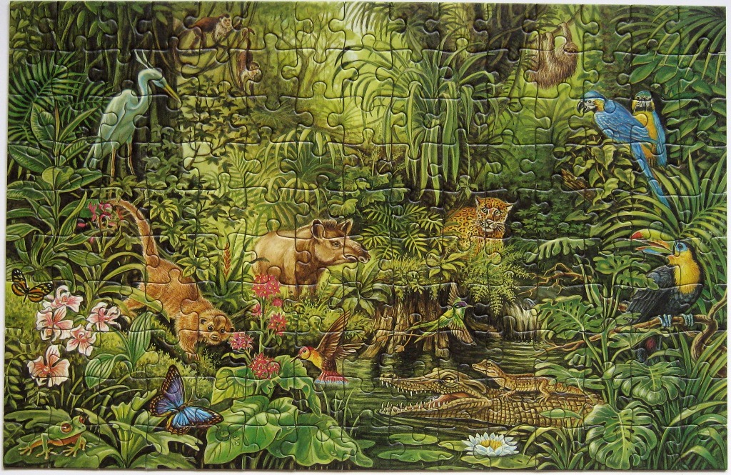 Lush tropical rainforest scene featuring a variety of wildlife including a jaguar, tapir, toucan, and crocodile.