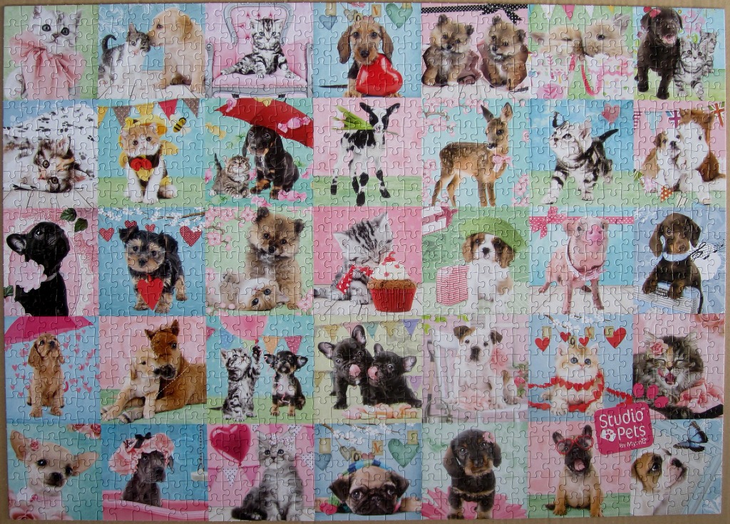 A grid of thirty-five individual portrait squares, each featuring various puppies, kittens, and small animals.