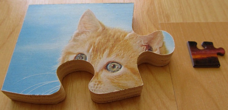 3 Kittens