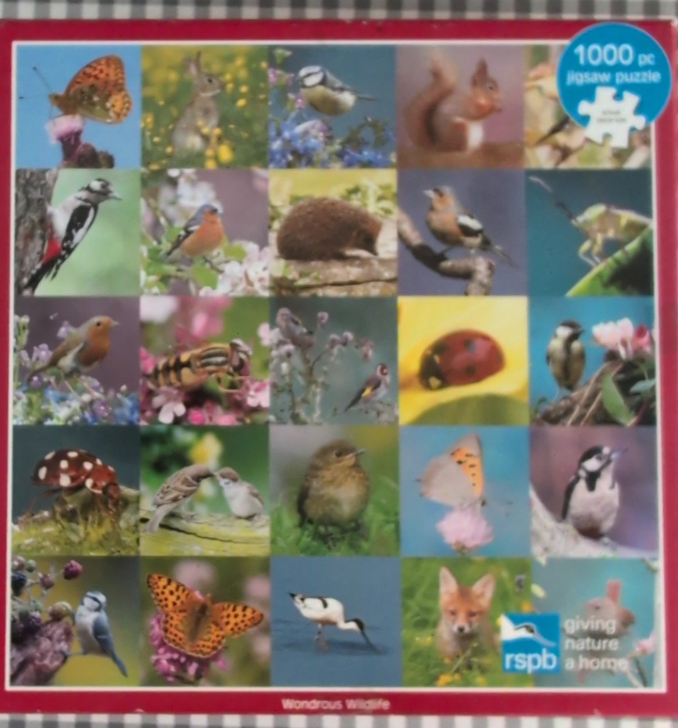 A collage of 25 nature photographs featuring British birds, insects, and small mammals.