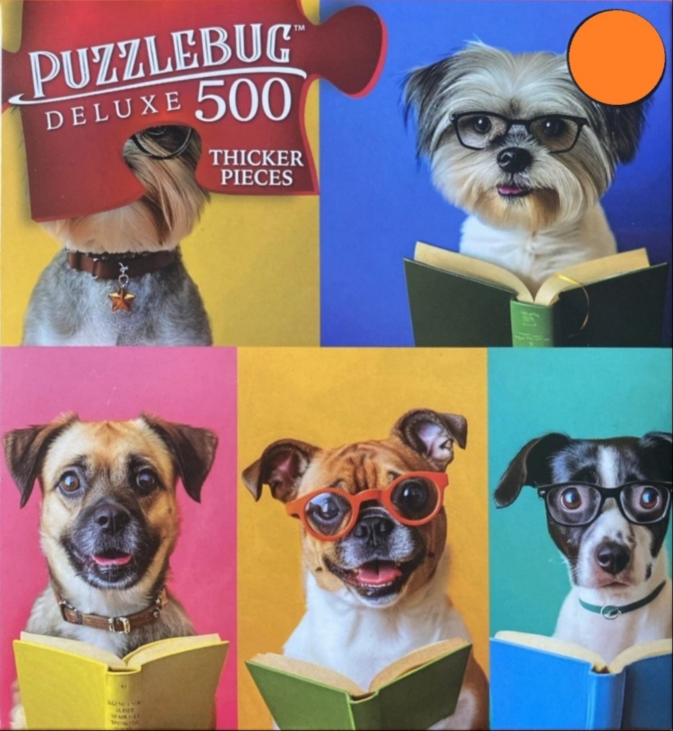 Five portraits of dogs wearing glasses and reading books, arranged in a grid against vibrant, solid-colored backgrounds.
