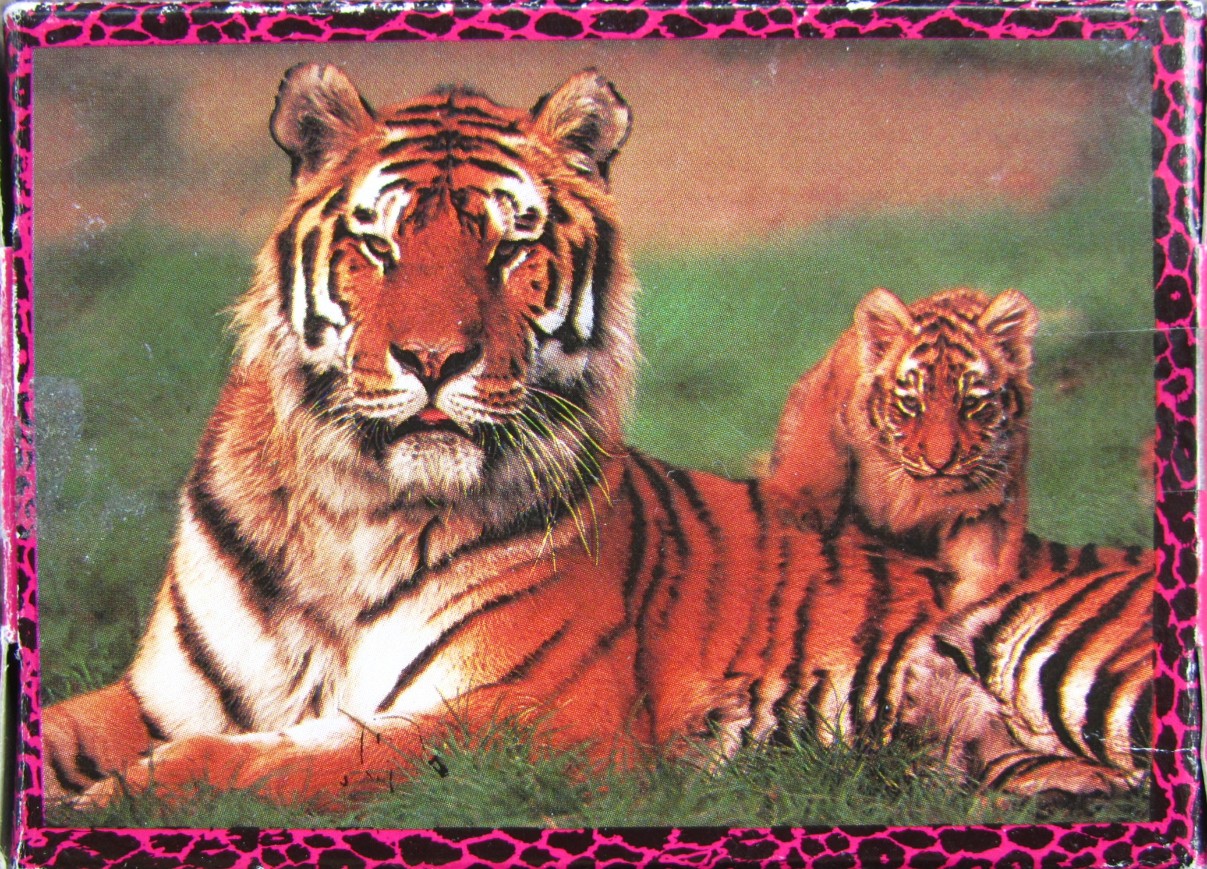 A mother tiger and her small cub resting together in green grass.