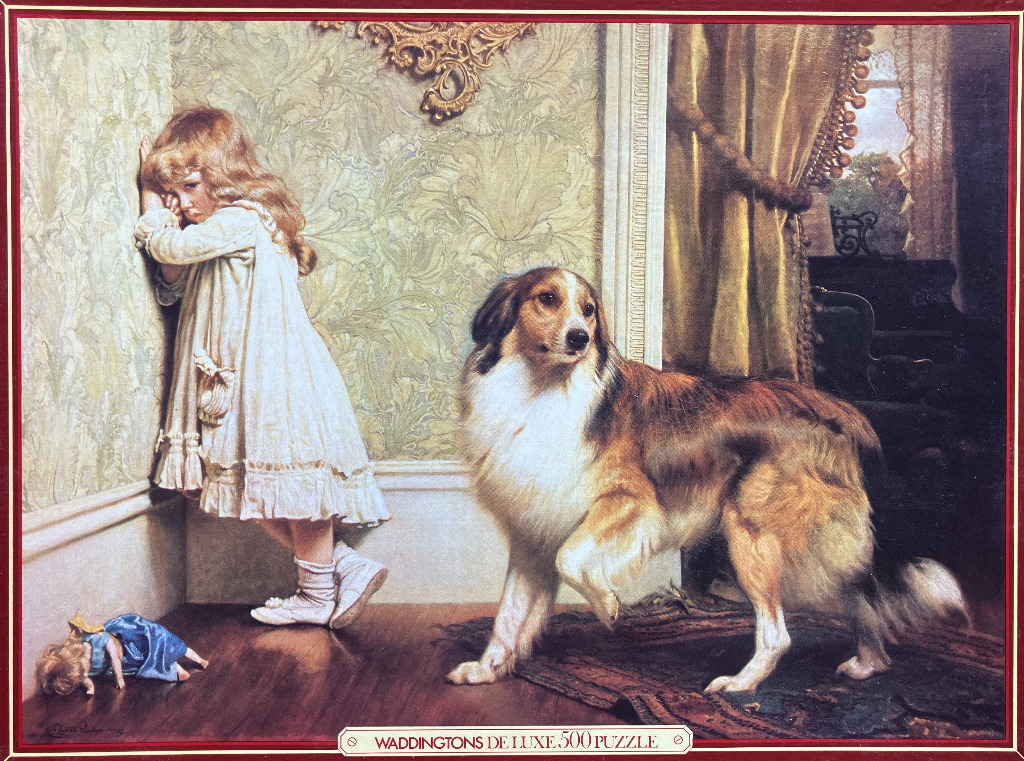 A young girl in a white dress standing in a corner with a large tricolour dog looking at her.