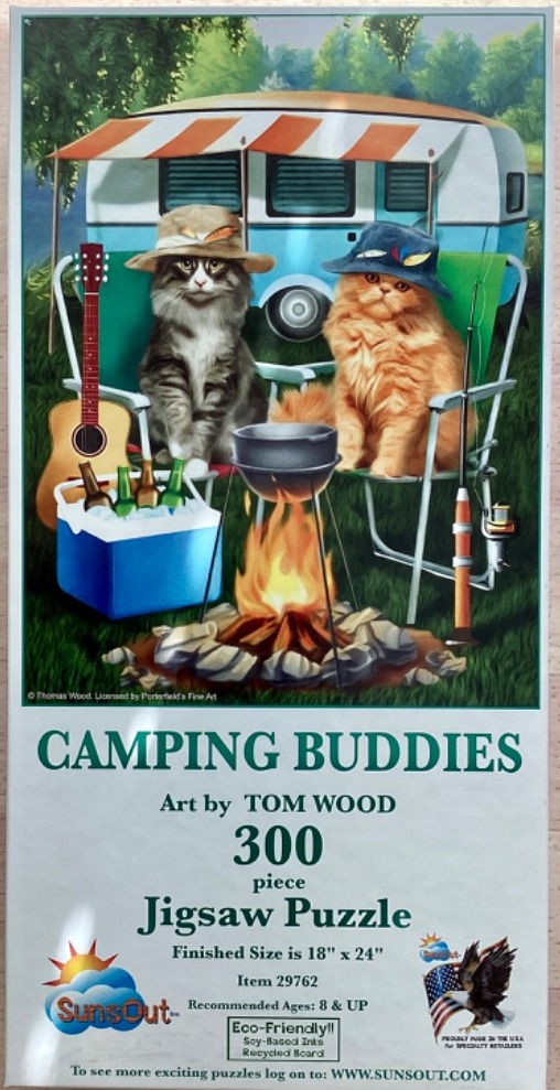 Two fluffy cats sitting in folding chairs in front of a camper, a campfire, and a cooler.