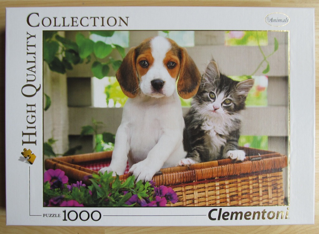 A puppy and a kitten sitting together in a wicker basket outside.