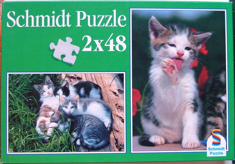 Two photographs of kittens, one featuring a single kitten licking its paw and another with a group of kittens in grass.