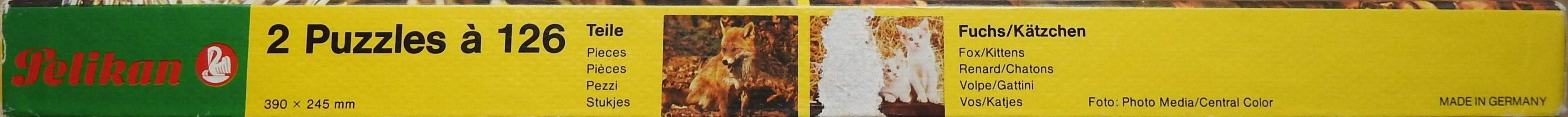 Fox/Kittens