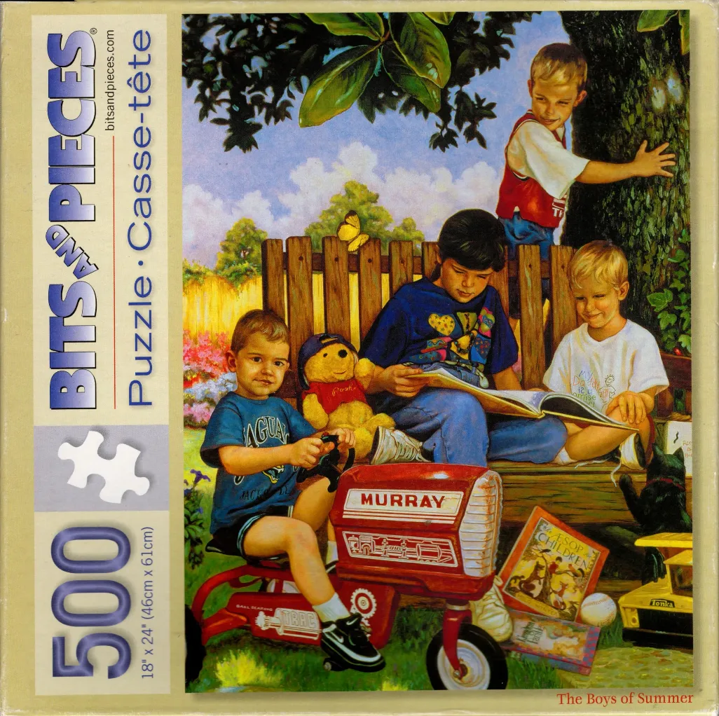 Illustration of four boys playing in a backyard with a red toy tractor and books