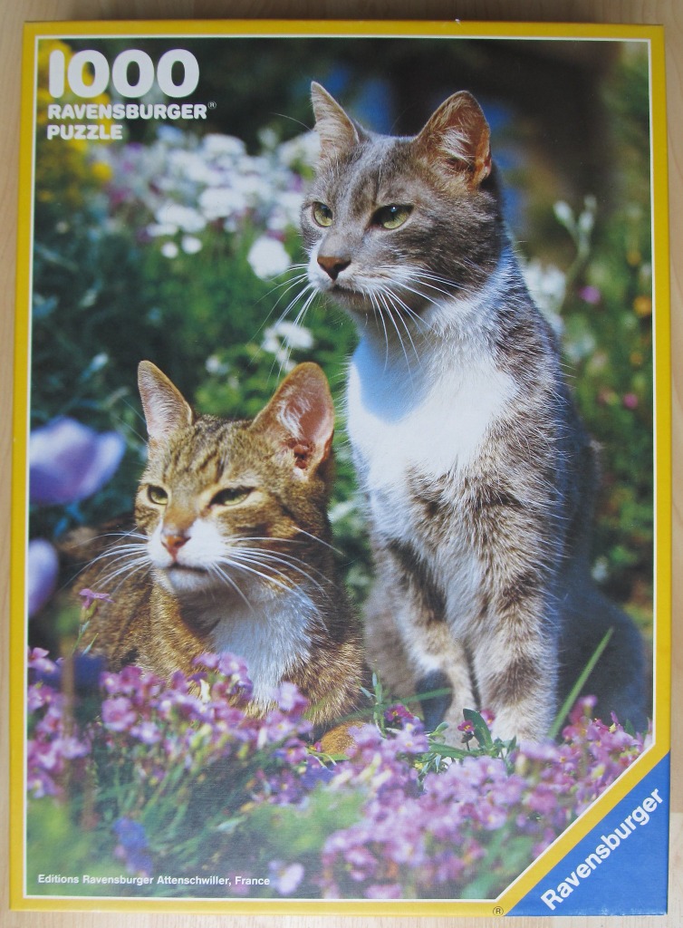 Two cats sitting among a garden of small purple and white flowers.
