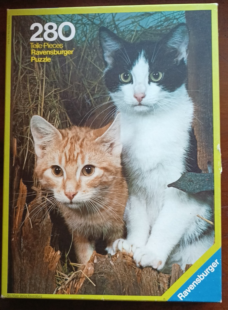A black and white cat and an orange tabby cat sitting together in a wooden structure.