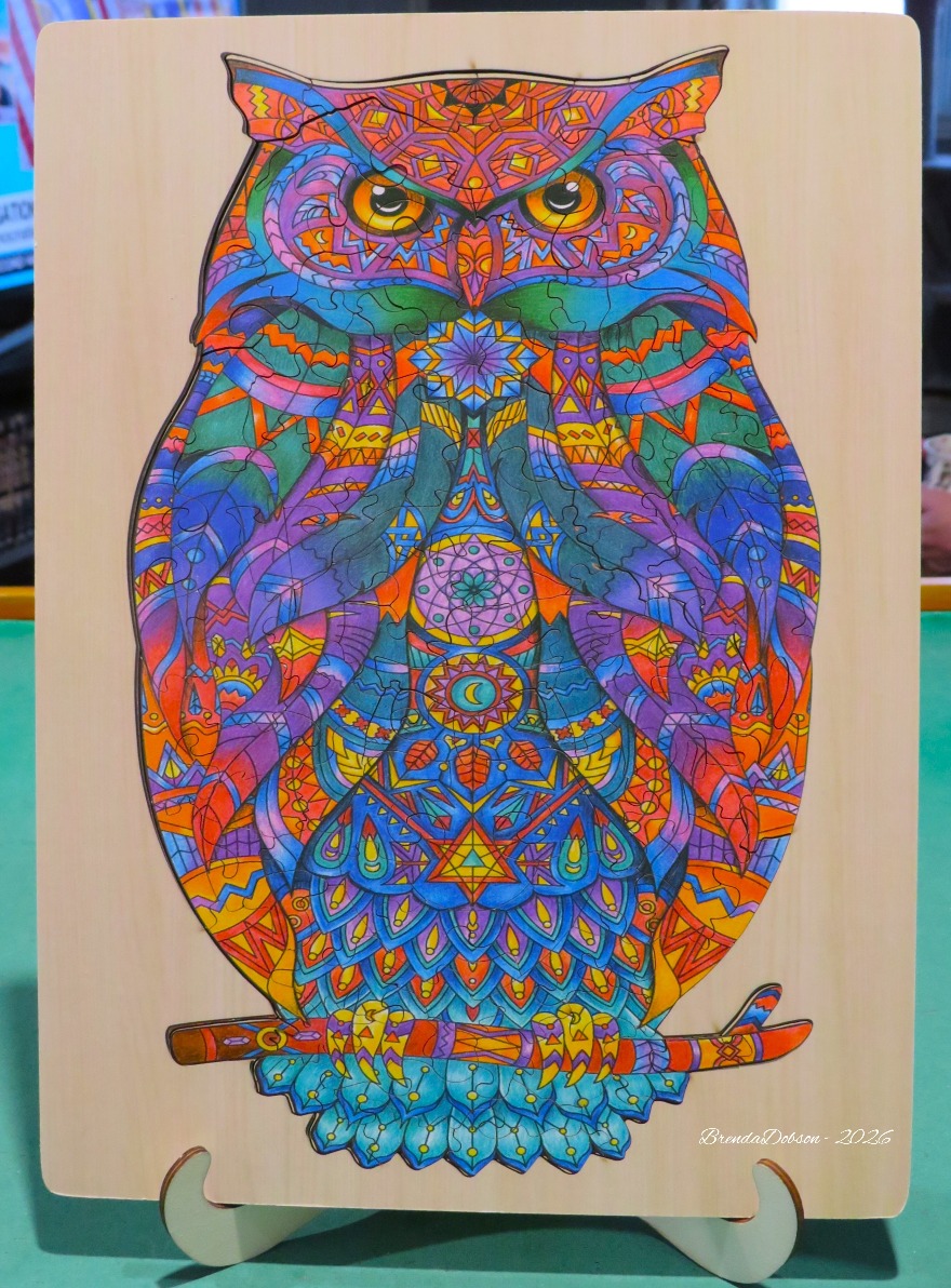Intricately patterned owl illustration with vibrant mandala designs in bright neon colours