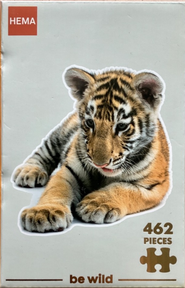 A close-up photograph of a tiger cub lying down against a plain, light grey background.