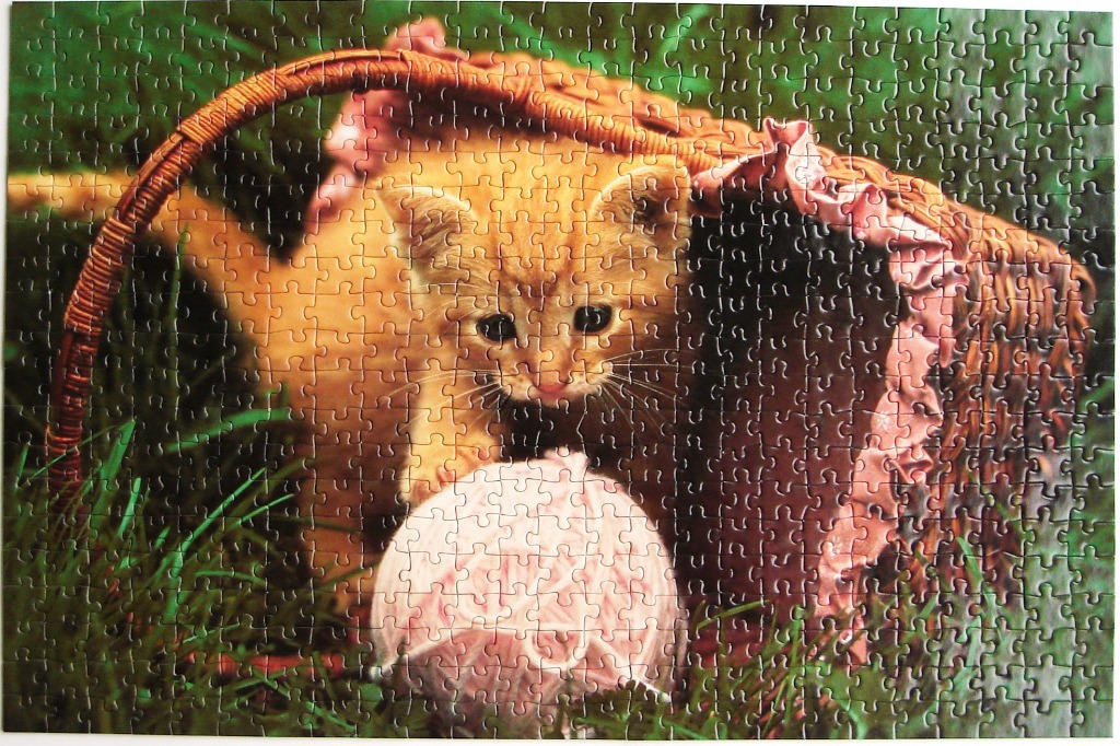 An orange tabby kitten sitting in a wicker basket with a ball of pink yarn in a grassy field.