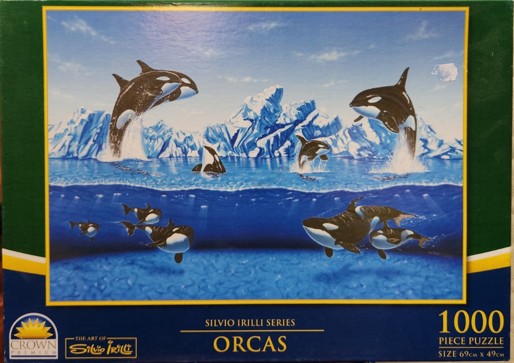 An illustration of multiple orcas swimming and breaching in icy, blue Arctic waters.