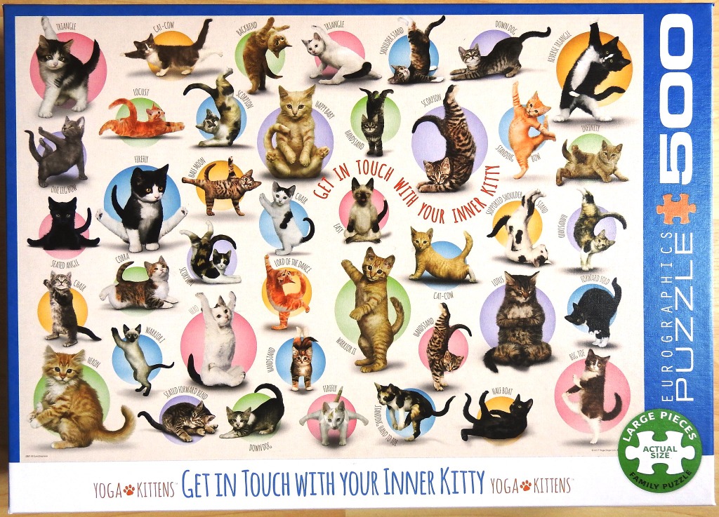 A collage of many different cats performing various yoga poses, each framed by a colorful circular background.