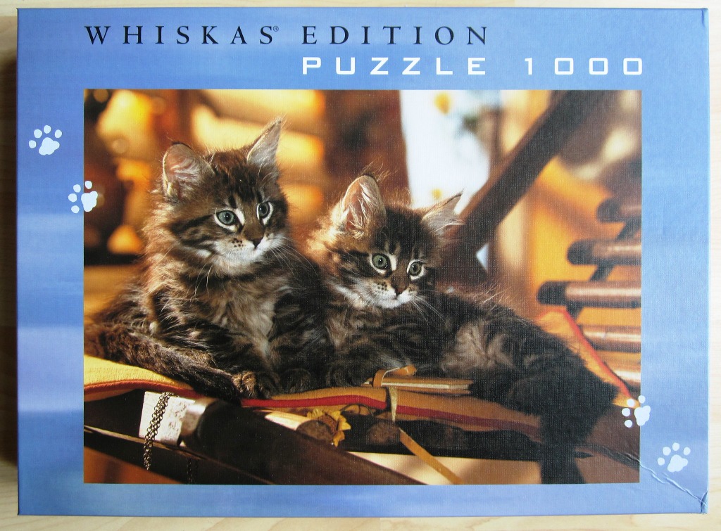 Two fluffy tabby kittens resting together on a wooden structure.
