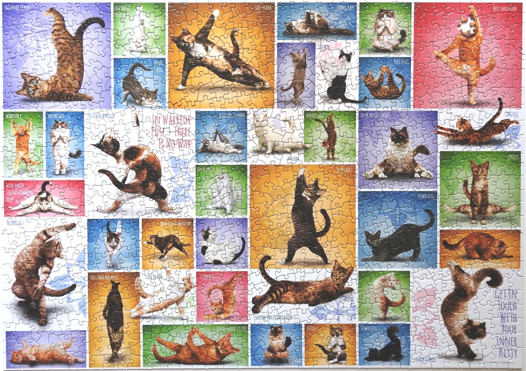 A collage of cats performing various yoga poses on colorful backgrounds.