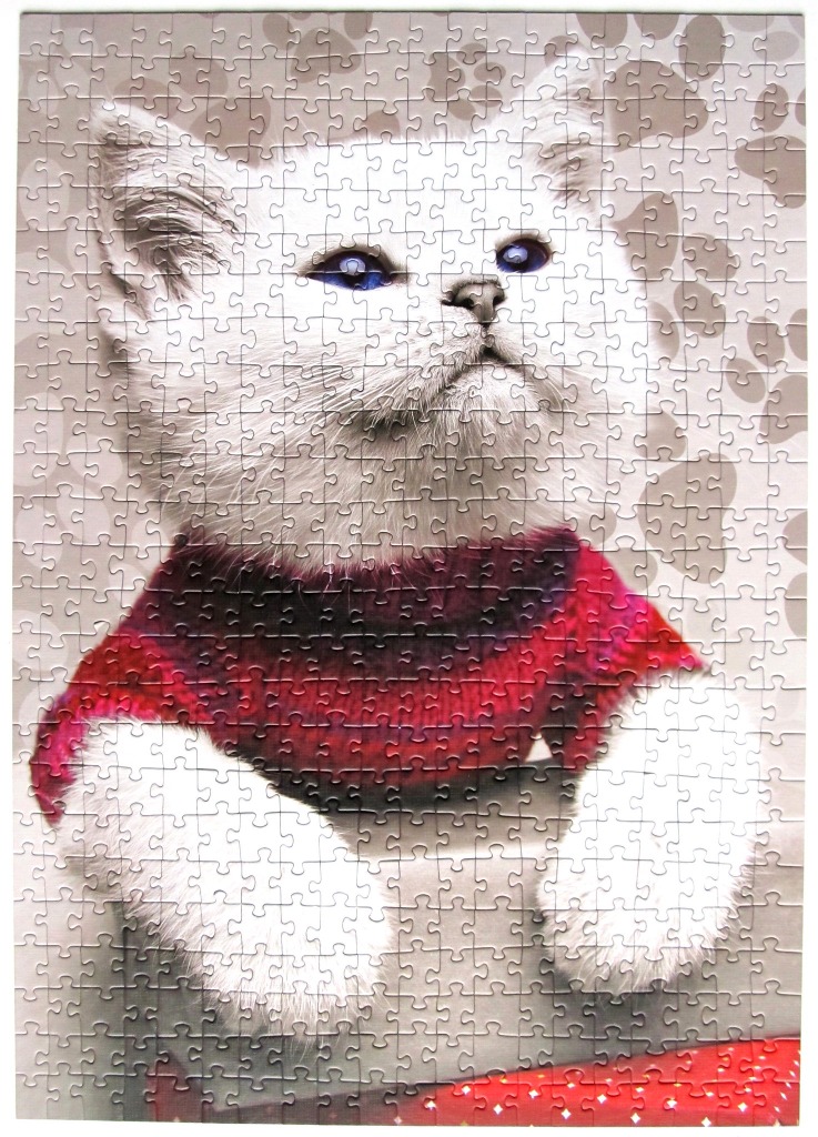 A portrait of a fluffy white kitten wearing a red and purple striped sweater against a paw-print background.