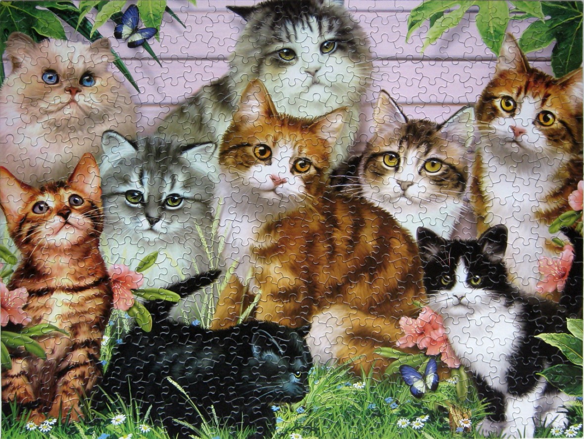 An illustration of eight diverse cats huddled together in a garden setting