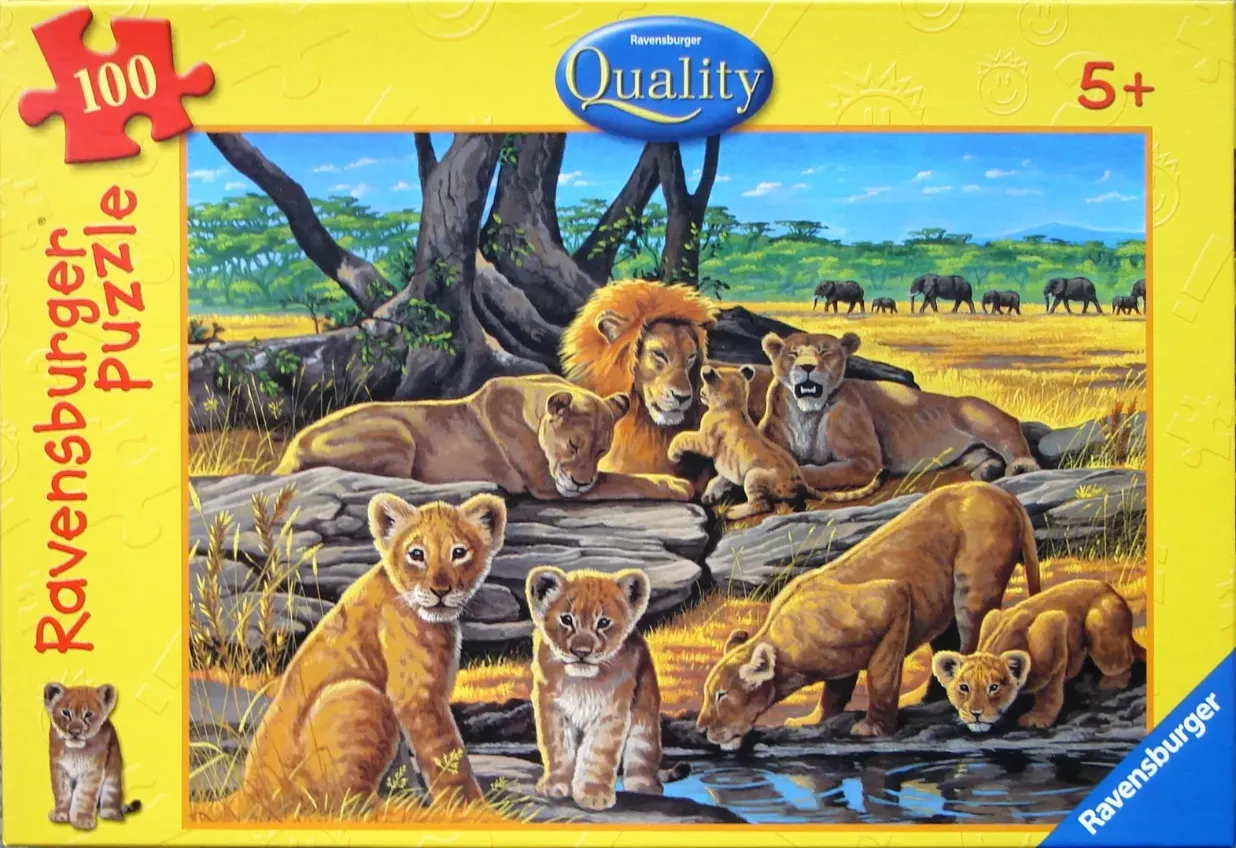 A family of lions resting and drinking in a sun-drenched savanna landscape.