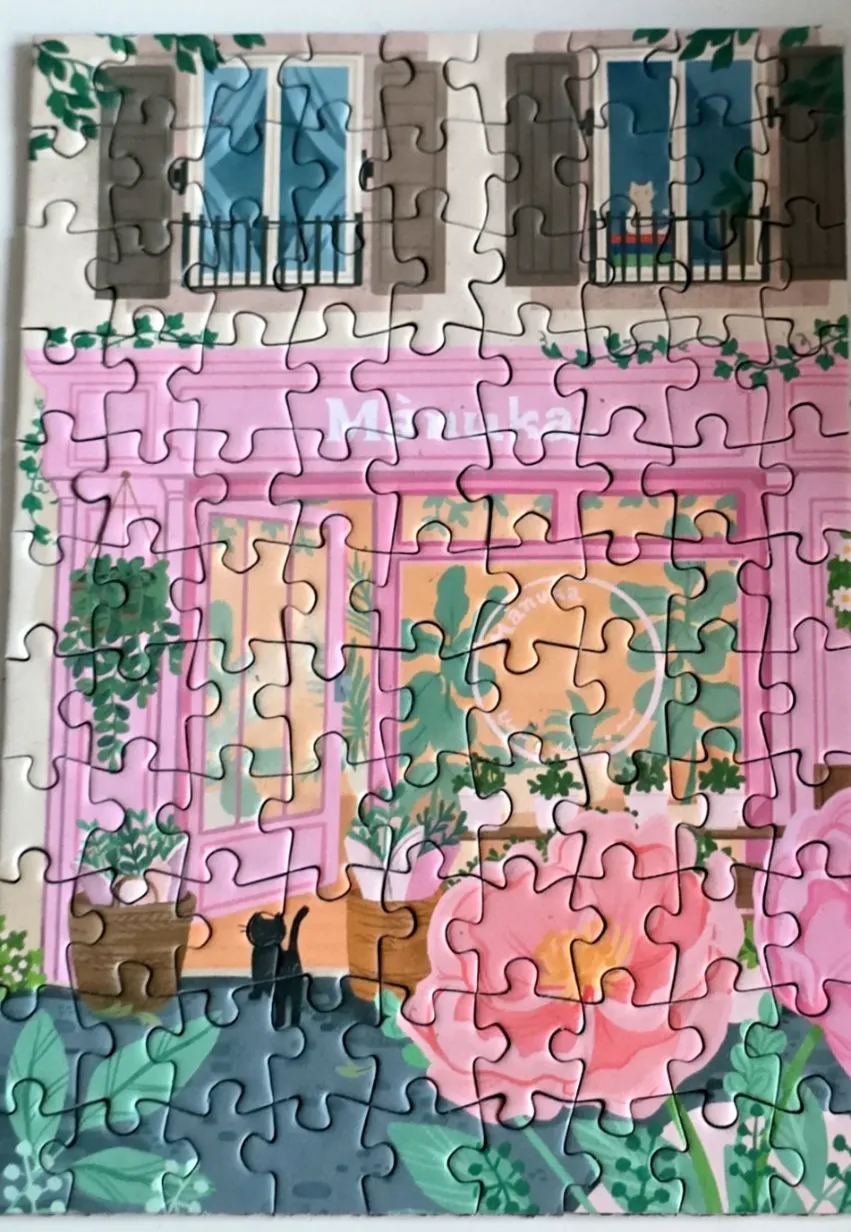 An illustration of a charming pink flower shop facade with a black cat on the sidewalk.