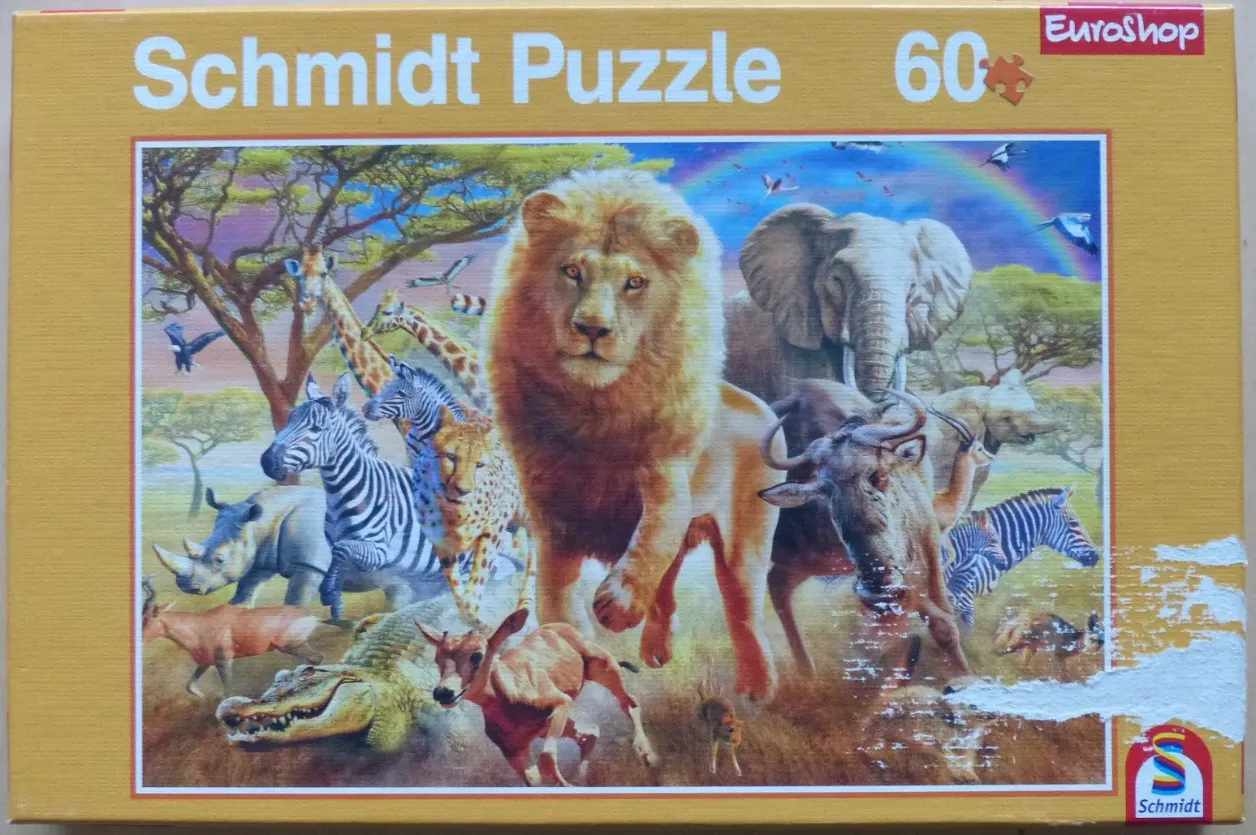 Illustration of a male lion standing in front of a gathering of African savanna animals with a rainbow in the sky.