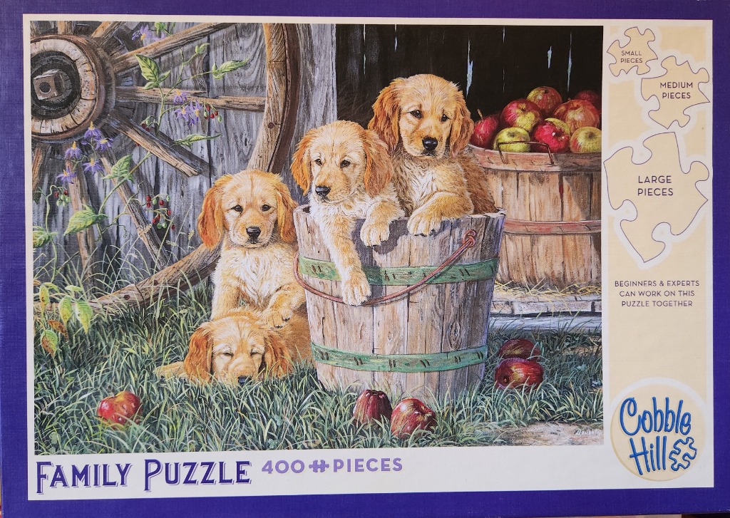 Three golden retriever puppies playing near an old wooden wagon wheel and a bucket of apples.