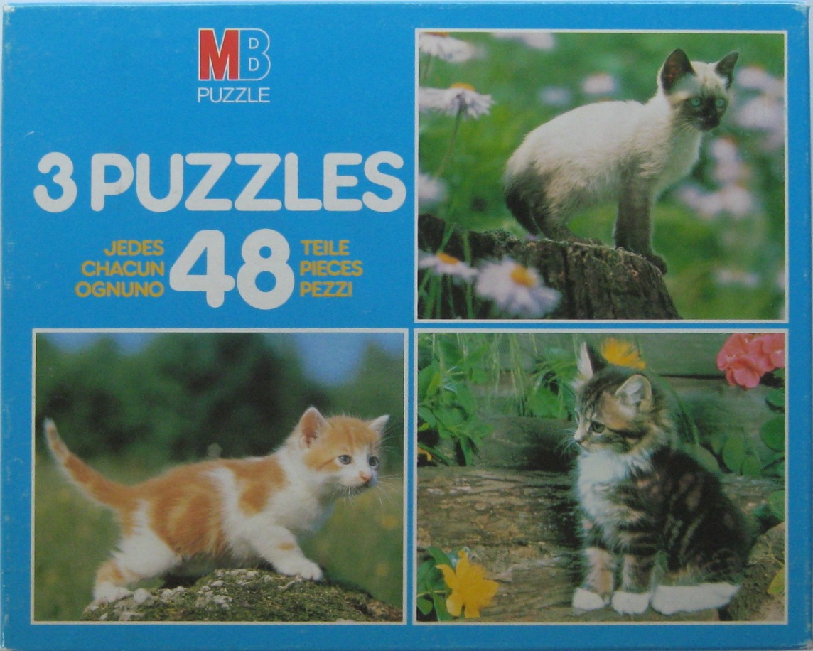 Three separate photographs of cute kittens in natural outdoor settings.
