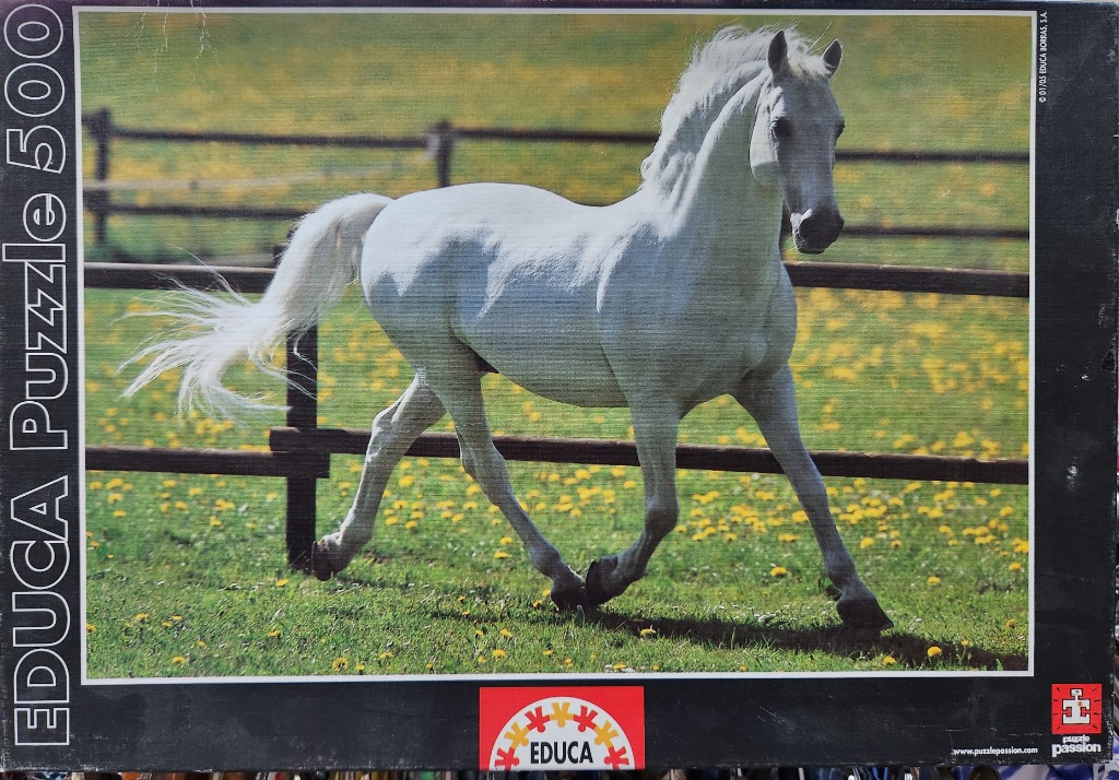 A majestic white horse galloping across a lush green meadow with a wooden fence in the background.