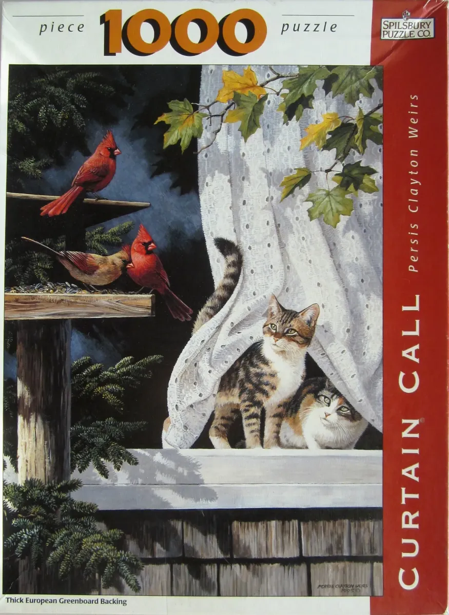 Two tabby cats peek from behind a white lace curtain at three red cardinals on a bird feeder outside a window.