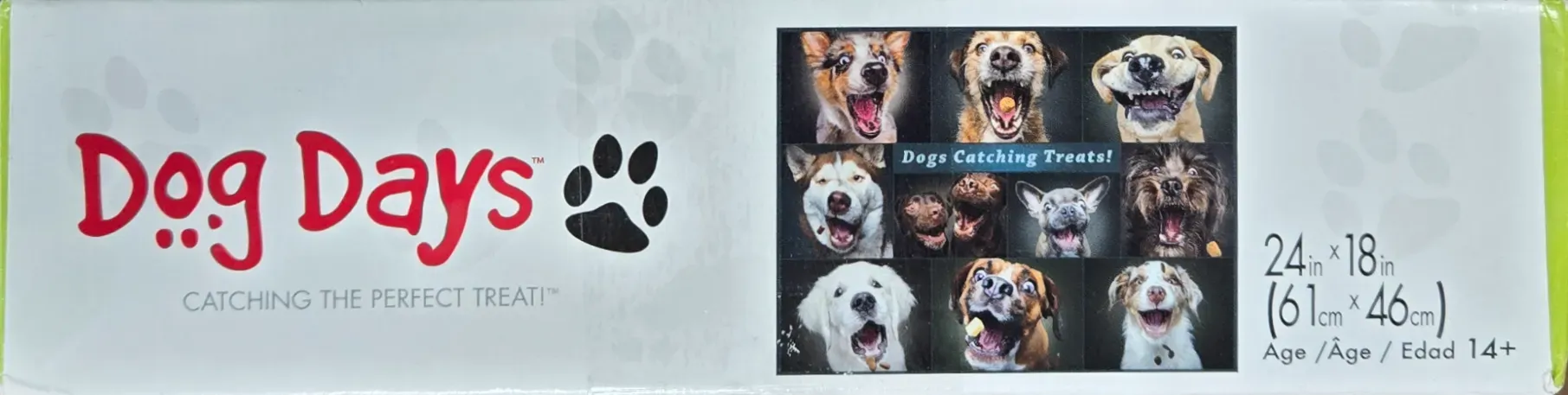 Dogs Catching Treats!