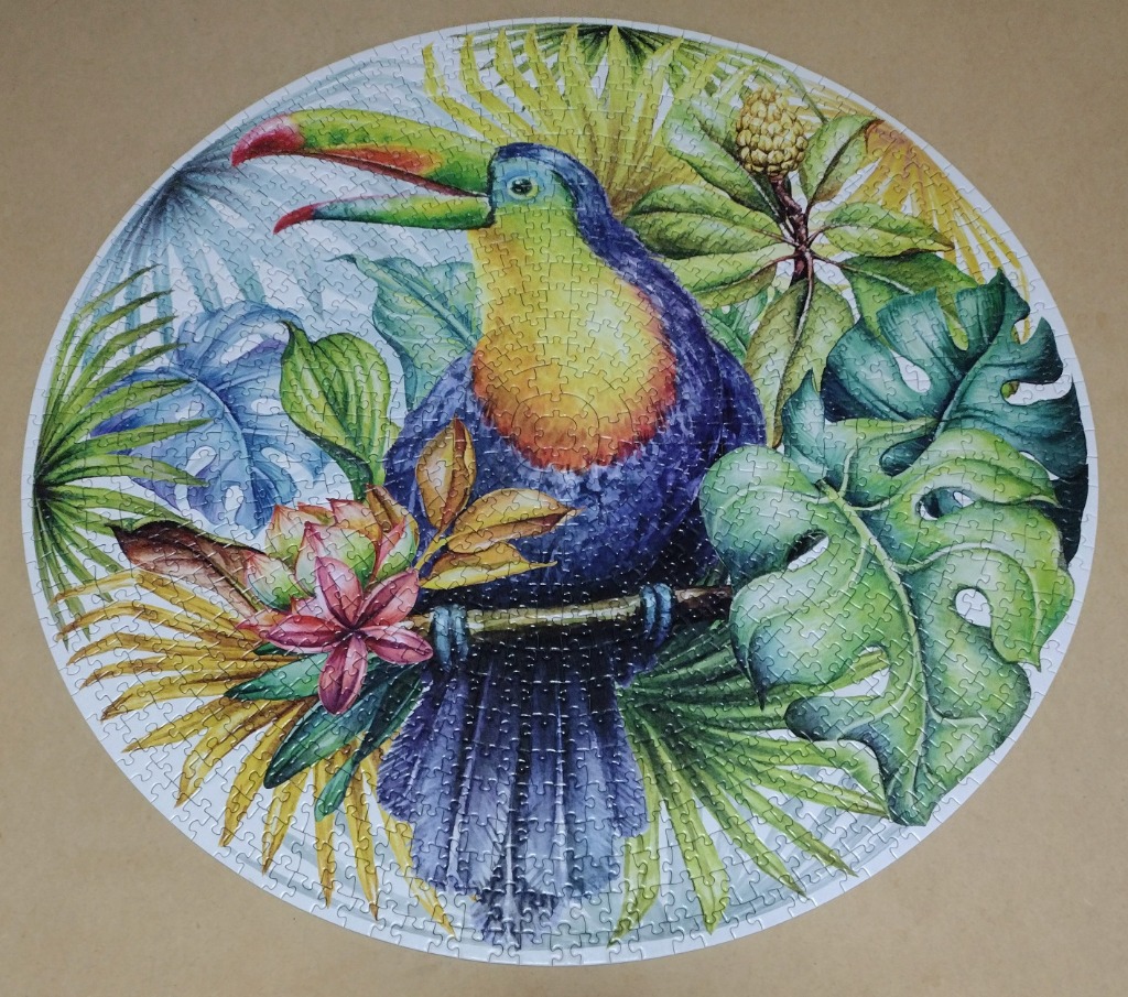 A circular illustration of a vibrant toucan perched amidst lush tropical greenery and colourful flowers.