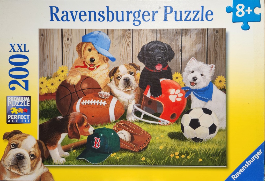 A group of five puppies surrounded by various sports equipment on a grassy field.