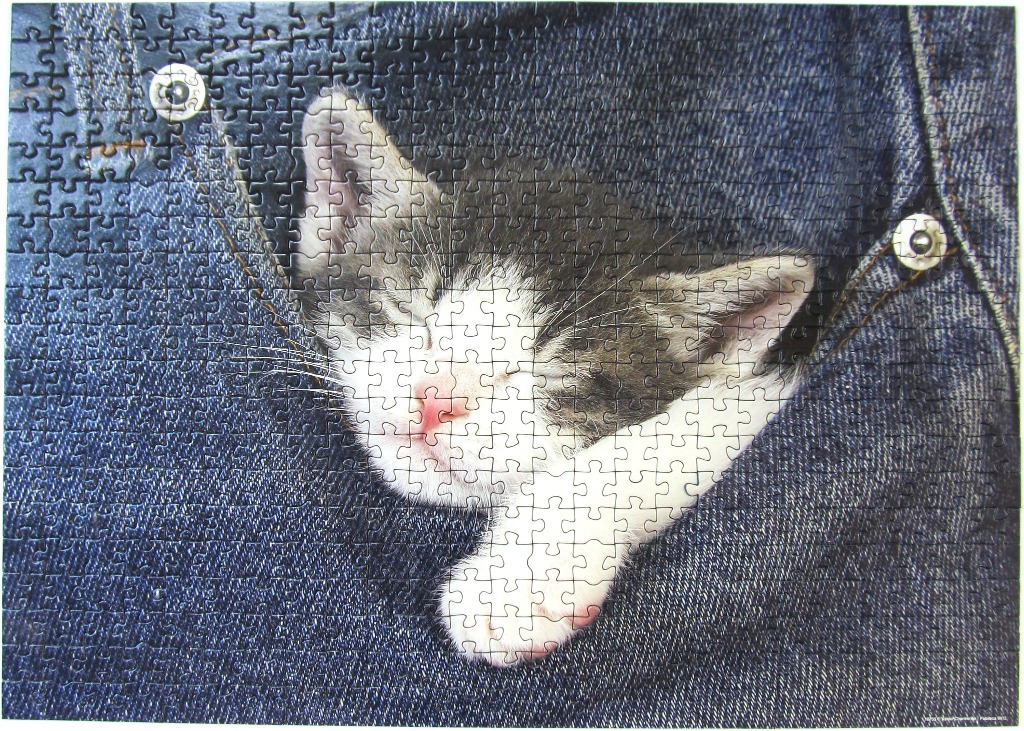 A small kitten sleeping inside the pocket of a pair of blue jeans.