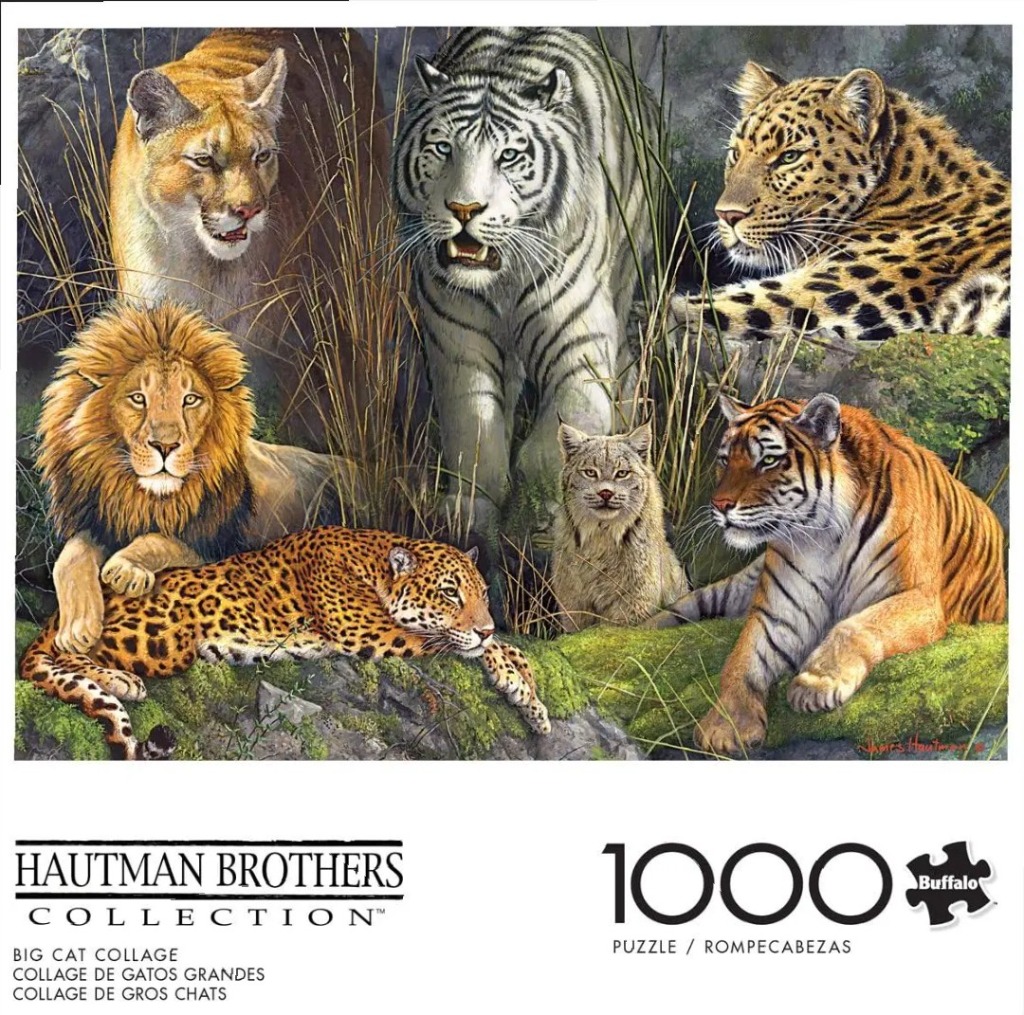 A detailed collage of six large wild cats, including a white tiger, a lion, and a leopard, in a natural forest setting.