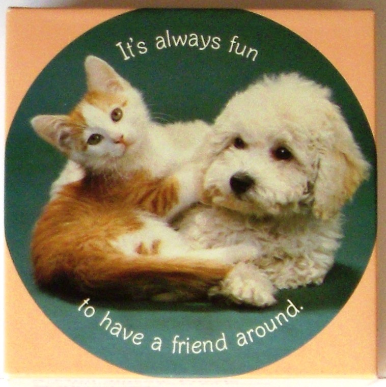 A photograph of an orange and white kitten cuddling with a fluffy white puppy against a dark green background.