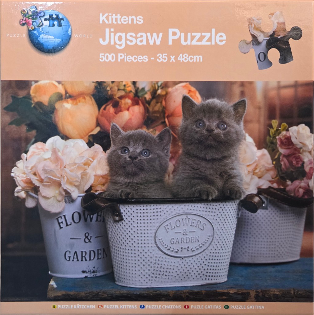 Two fluffy grey kittens sitting inside a metal flower bucket surrounded by bouquets of roses.