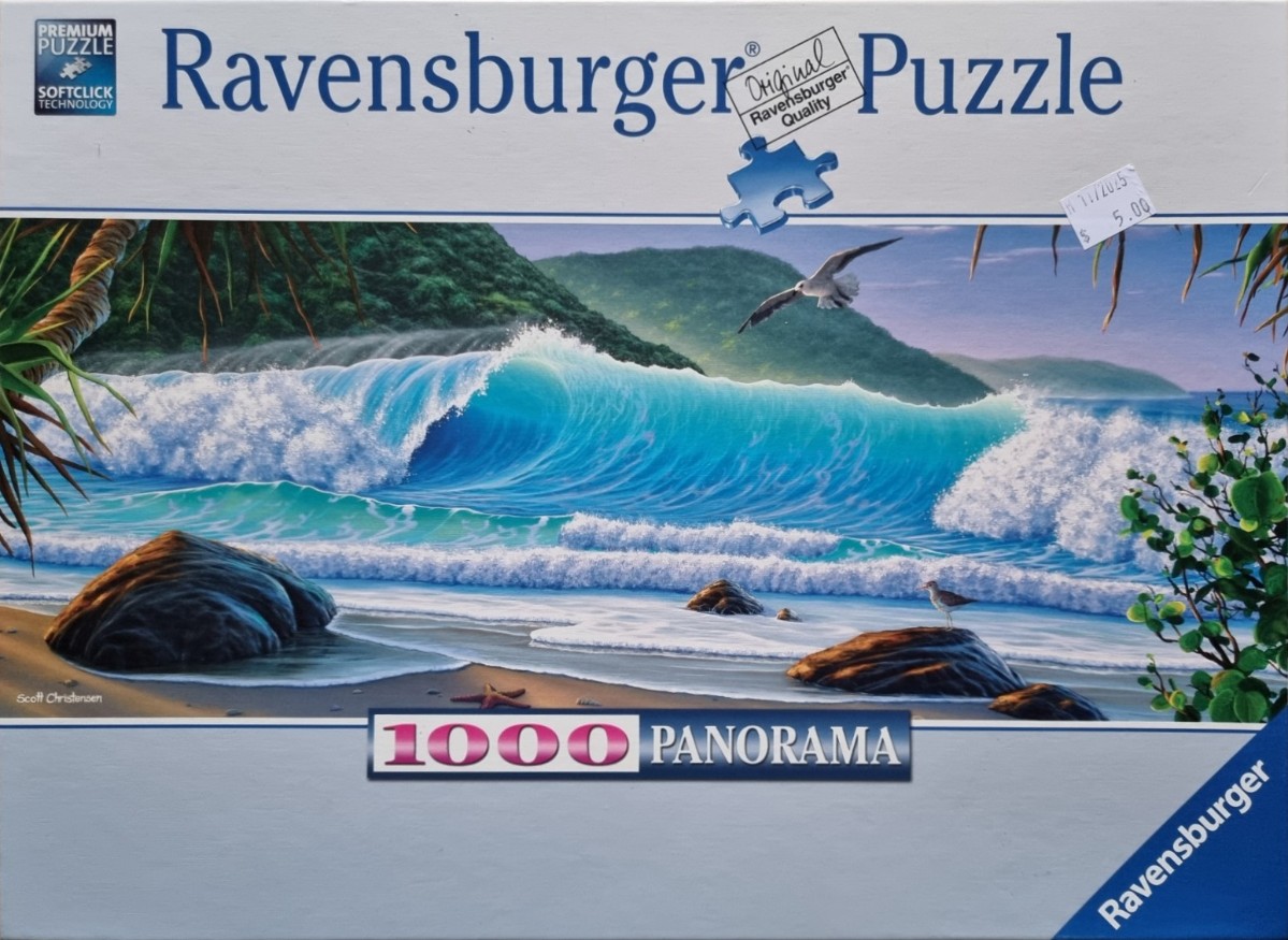 A panoramic tropical beach scene with a large breaking wave, palm trees, and a seagull in flight.