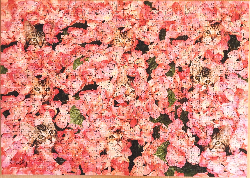 Seven tabby kittens peeking through a dense wall of pink hydrangea flowers.
