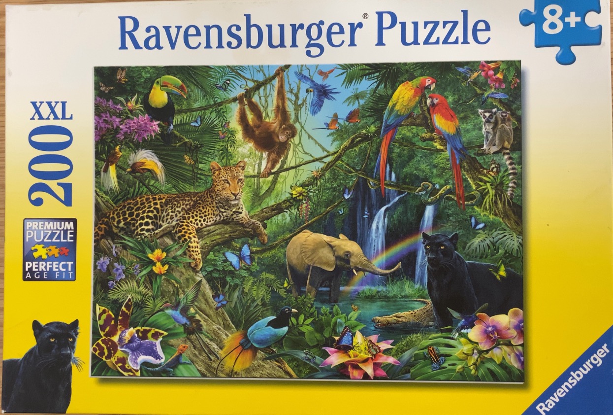 A lush tropical rainforest scene featuring a leopard, elephant, black panther, and various exotic birds and monkeys.