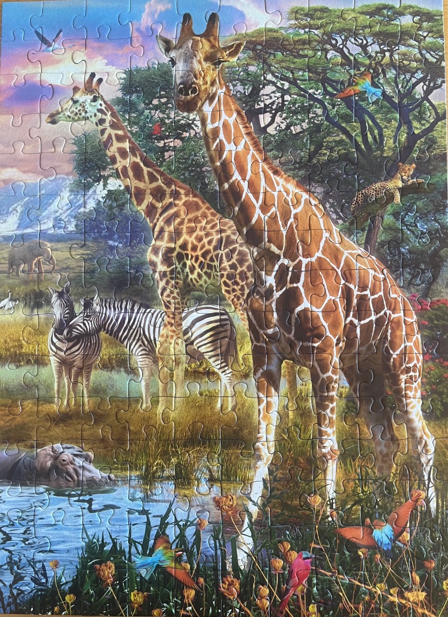 Two giraffes standing in an African savanna landscape with zebras, a hippo, and colourful birds.