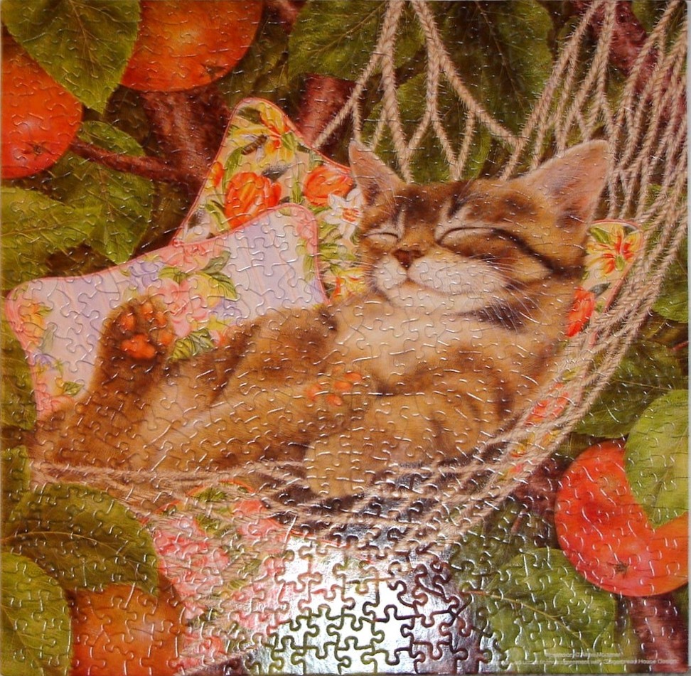 A tabby kitten sleeping in a rope hammock nestled among orange-laden tree branches.