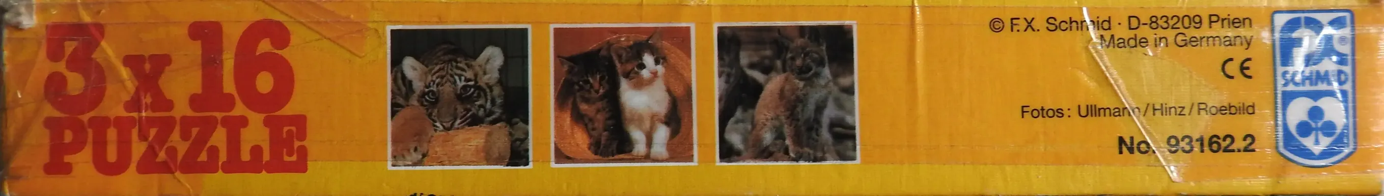 Große und kleine Katzen