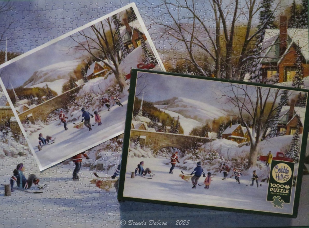 Hockey on Frozen Lake