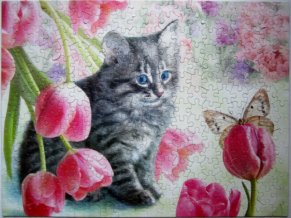 A fluffy grey tabby kitten sitting among pink tulips with a butterfly landing on a flower to the right.
